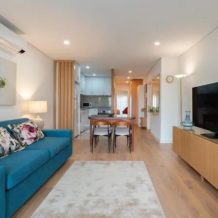 Host Wise - Lovely Flat With Charming Terrace Apartment Vila Nova de Gaia